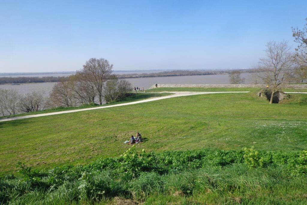 Вилла Grange La Bigarderie Блеи-э-Сент-Люс Экстерьер фото